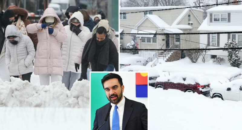 Massive norâeaster could bring 20 inches of snow to NYC, Zohran Mamdani predicts